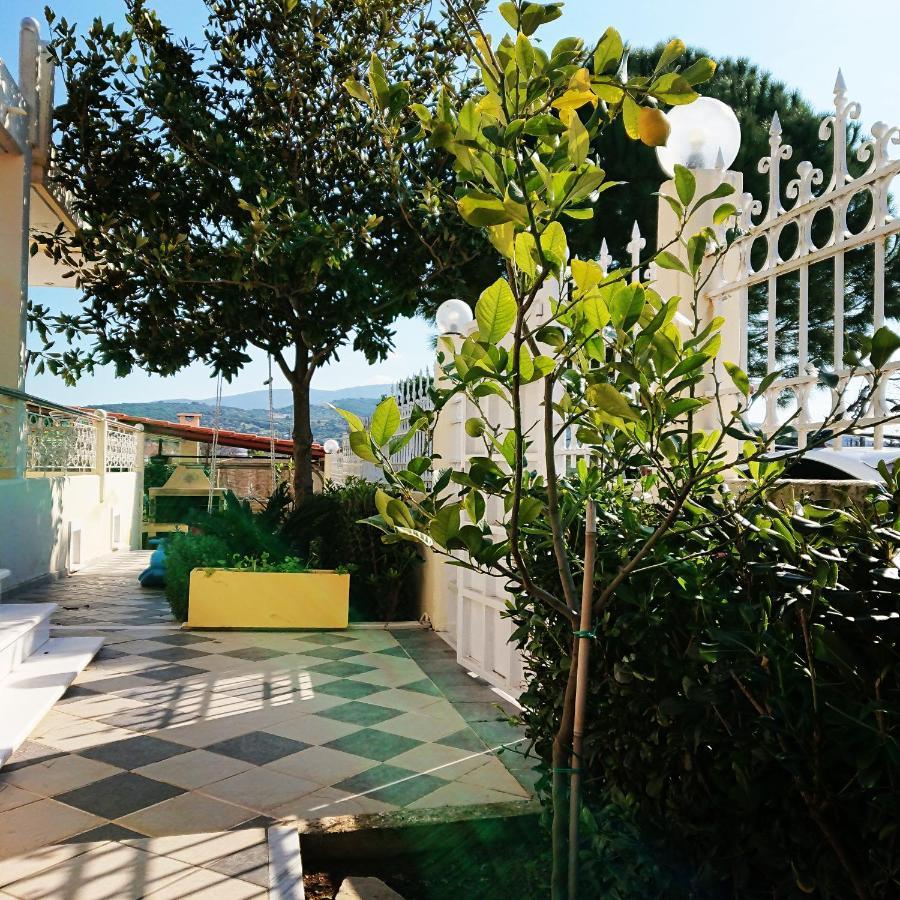 Villa Filoxenia All Seasons, Near Airport, Sea, Athens Agia Marina  Exterior foto